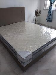 Blk 866 Jurong West Street 81 (Jurong West), HDB 4 Rooms #455323711